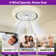 Foelke Ceiling Fan with LED Lights