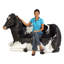 Banc sculpté Holstein