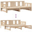 Argan Solid Wood with Trundle-204152763-204152761
