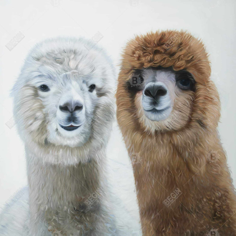 Two lamas - 18"x18" Throw pillow cover - Poly twill - Print on demand, 18" x 18"