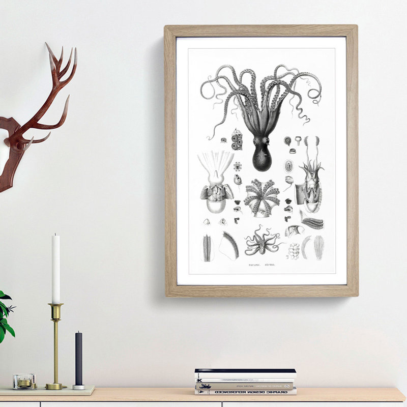 Octopus Illustrations by E.F. Jomard - Picture Frame Drawing Print, 87cm H x 62cm W x 2cm D, Oak Framed