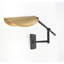 Lola 1 - Light Swing Arm