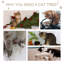 Masham 381cm H Cat Tree