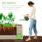  4X2x2ft Outdoor Metal Raised Garden Bed For Vegetables Flowers Herbs - Beige-349714917-349714920