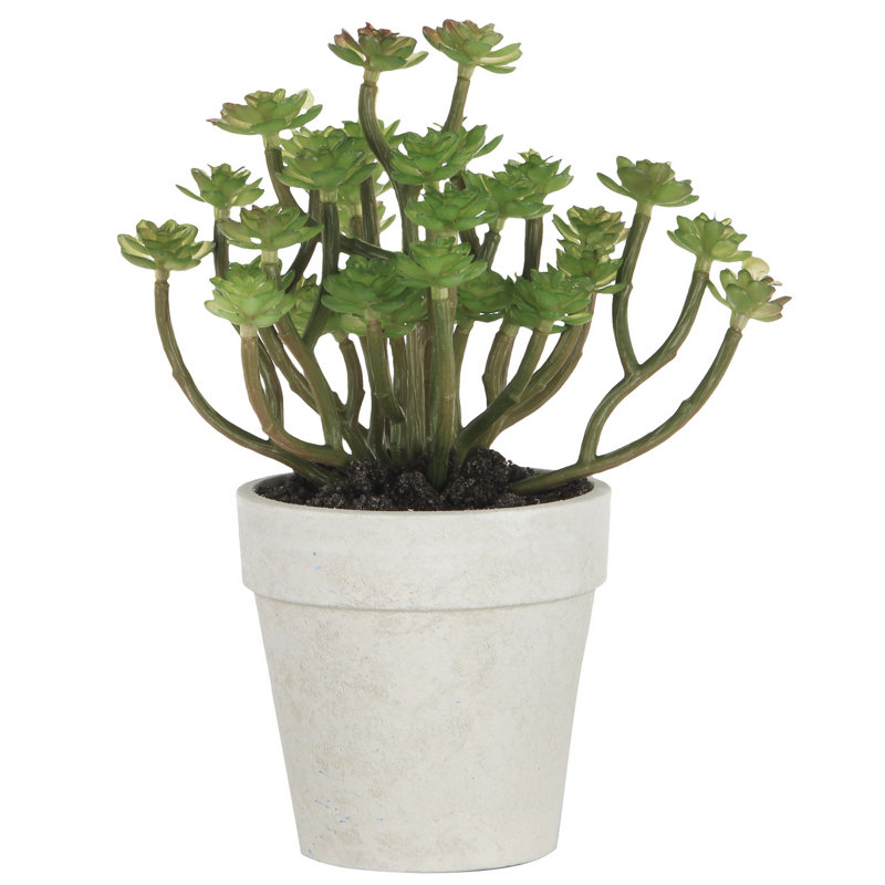 7'' Faux Succulent Plant in Pot