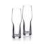 Craft Brew Pilsner Glass 21.5floz