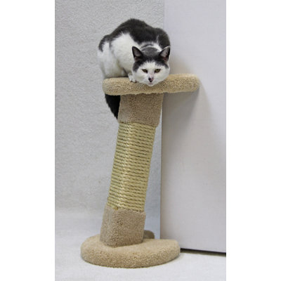 Isenberg 22'' H Cat Tree