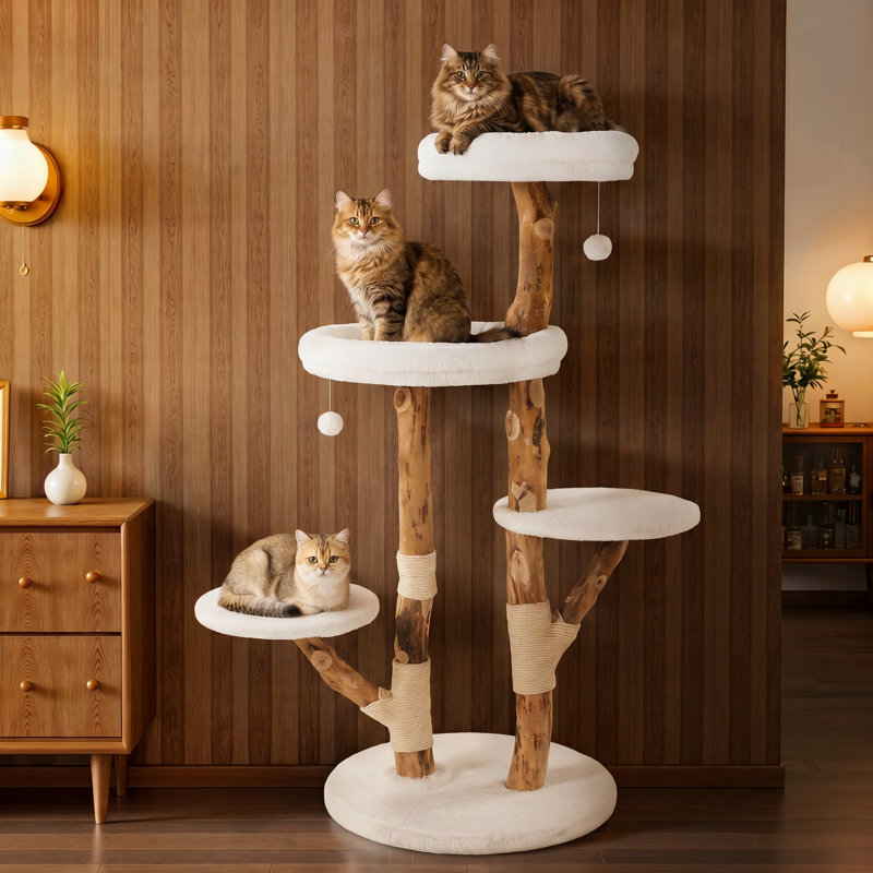 Arbre à chat en bois massif, condos à plusieurs niveaux, Brun / Blanc
