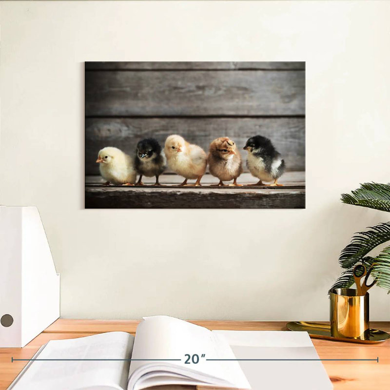 Rangée de poussins, H 8 po x l 12 po