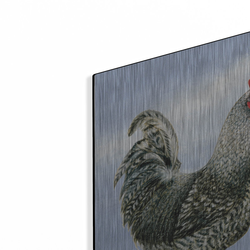 «Black White Hens 1» par Janet Pidoux, H 24 po x l 48 po