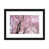 Black Framed Paper is unavailable