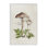 Champignon et fougères, art de la giclée par Eli Jones
