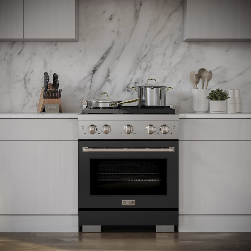 ZLINE 30 in. 4.2 cu. ft. Paramount Dual Fuel Range W/ 4 Burner DuoPro Cooktop and Electric Convection Oven W/ Black Matte Door