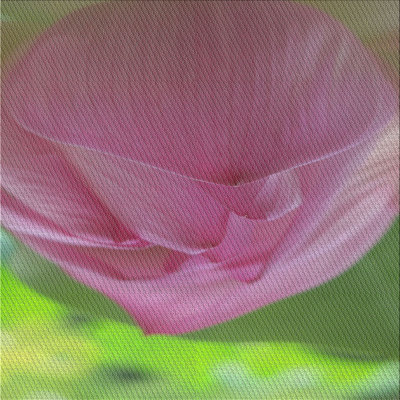 Tapis rose / vert Power Loom