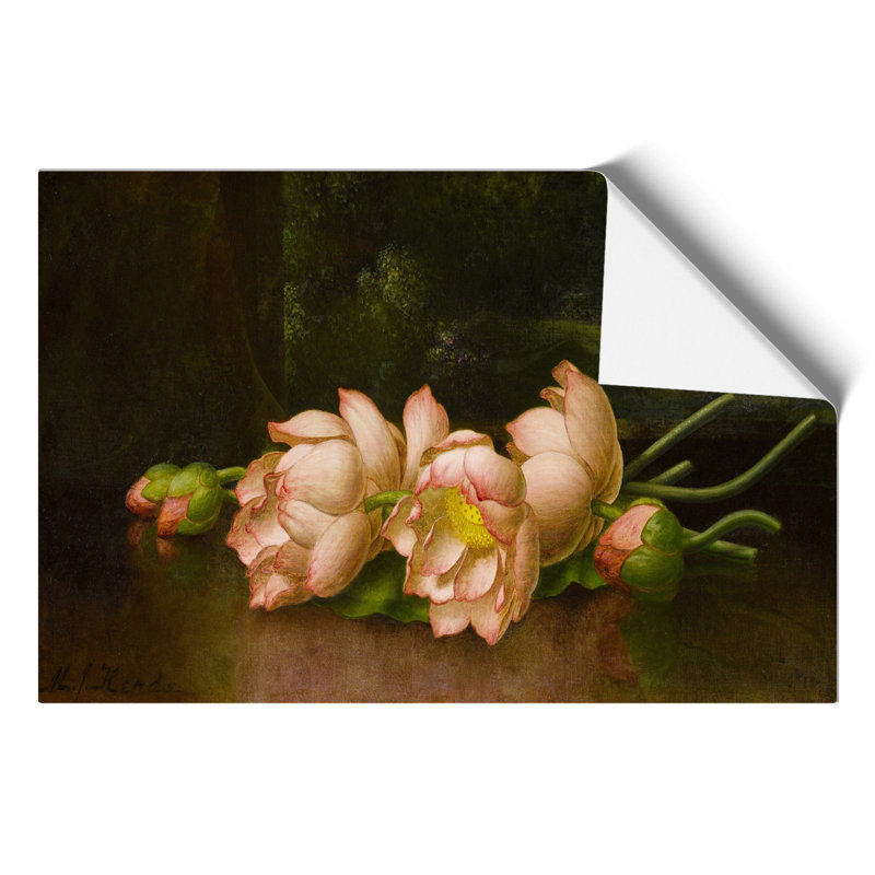 Lotus Flowers by Martin Johnson Heade - No Frame Painting, 42cm H x 59cm W x 0.1cm D