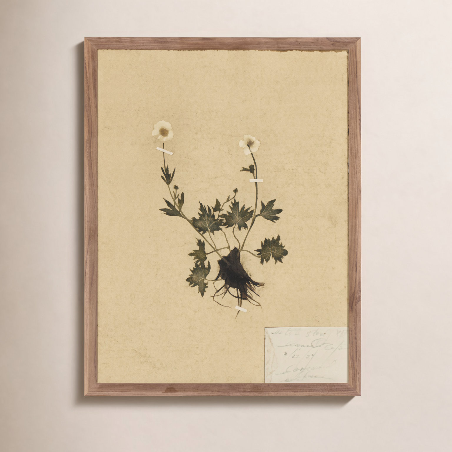 "Petite Study No. V" by Hannah Winters, 24" H x 18" W