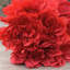 Arrangement floral dahlia de bouquet artificiel-1914350806