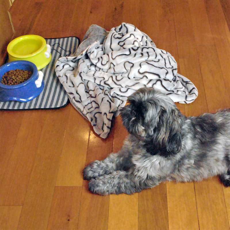 Animal Print Pet Blanket, Grey