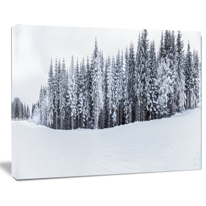 «Black and White Snow-Capped Hills», reproduction de photo sur toile tendue, H 20 po x l 20 po x P 1 po