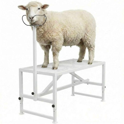 Goat Milking Stand, 47x23 Inch Livestock Stand, Metal Sheep Milking and Shearing Stand 21" to 33" Adjustable Height, with Headpiece and Nose Loop