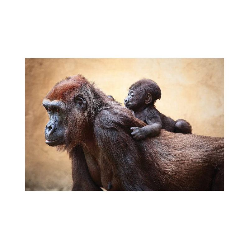 The First Outing by Antje Wenner-Braun - Wrapped Canvas Print, 20.32 cm H x 30.48 cm W