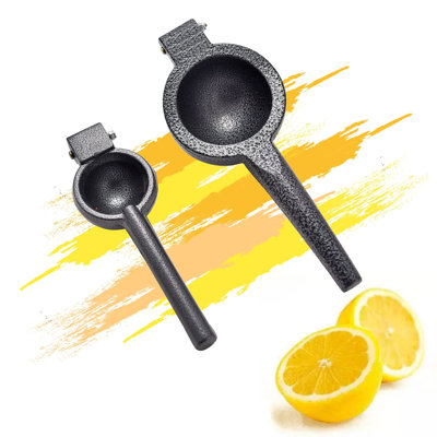 ARC 2 - Piece Citrus Squeezer Set