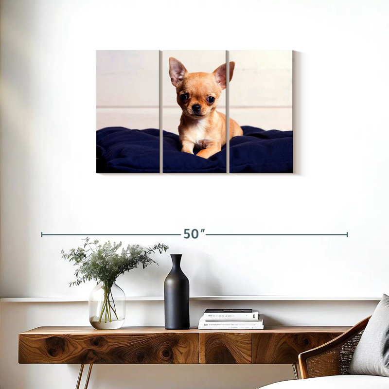 Teacup Chihuahua, 20" H x 33" W