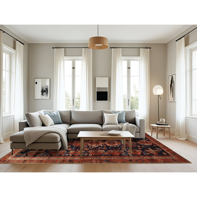 Machine Washable Turkish Brown Area Rug, Rectangle 8' x 10'