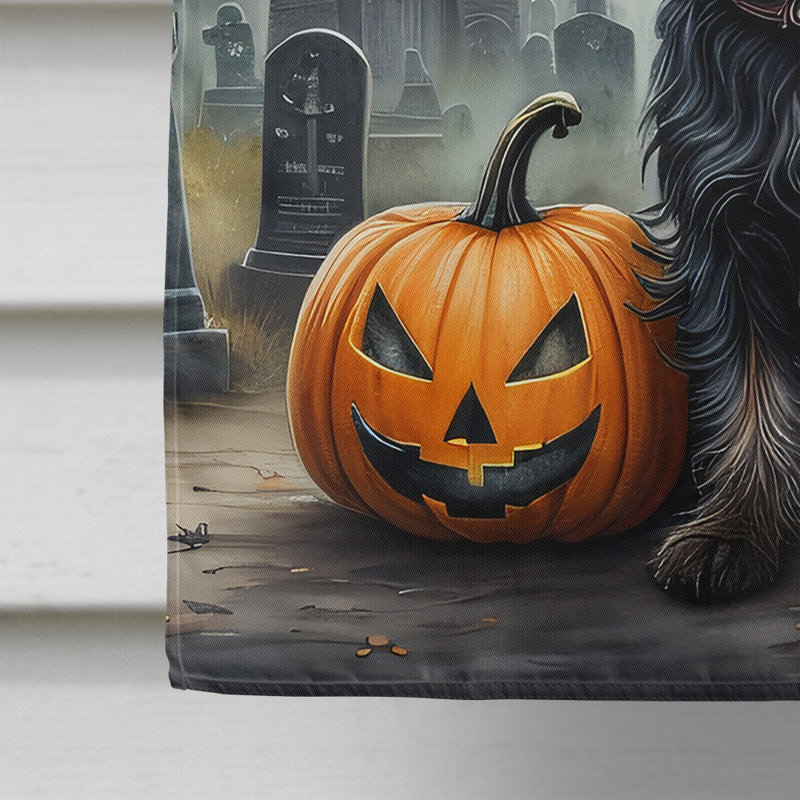 Double Sided 40'' H x 28'' W Polyester Halloween House Flag