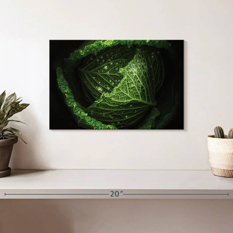 Yarlin Cabbage, 8" H x 12" W