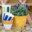 Viva Handmade Planter-1311484906