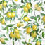 Motif de citron - reproduction encadrée mate pour la décoration intérieure-1919040161-1919040174