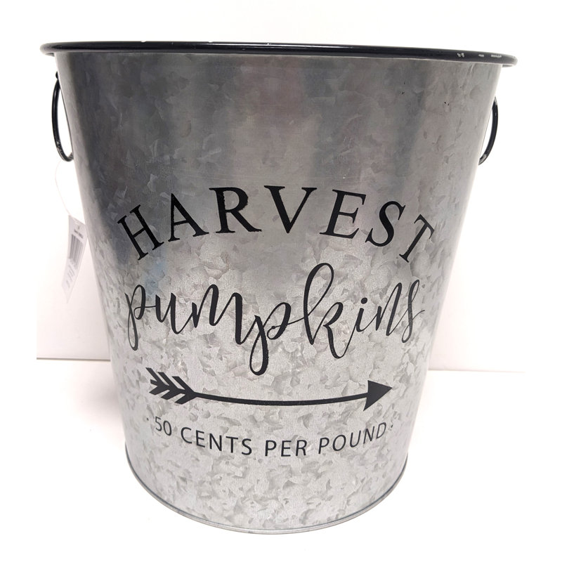 Trinx Decorative Bin