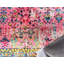 Tapis rose Munos-40277265