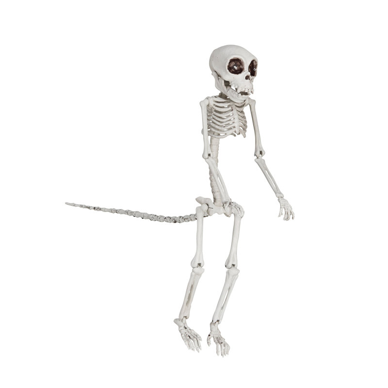 Plastic Monkey Skeleton Décor
