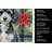 Miniature Parti Poodle Christmas PoinsettIas Kitchen Towel-2080584069