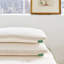 Avocado Molded Latex Pillow-1288732133-1288732131