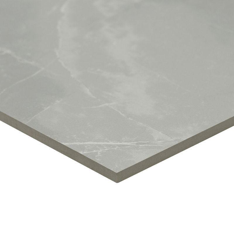 Sonoma 24 in. x 24 in. Matte Porcelain Stone Look Floor and Wall Tile, Gravelle