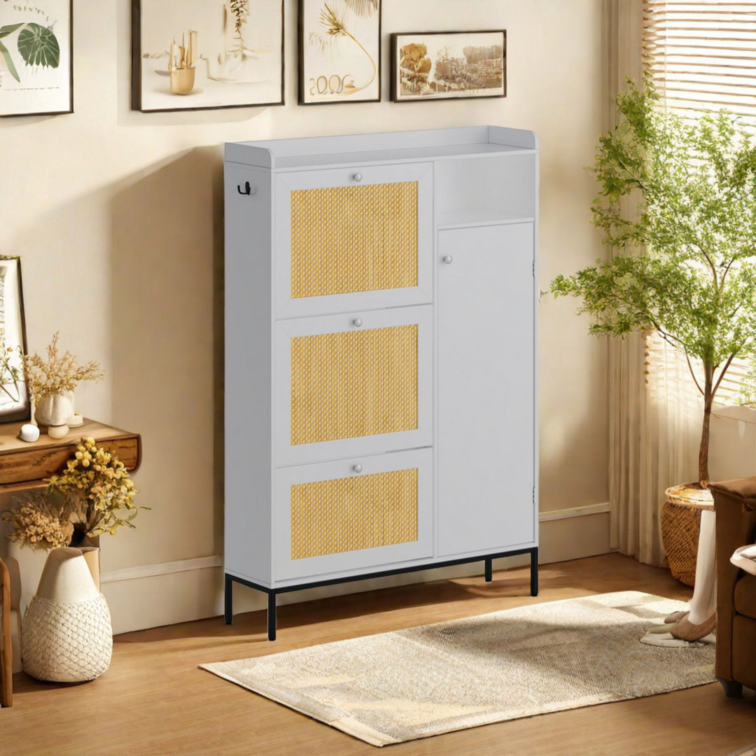 40 Pair Shoe Storage Cabinet Latitude Run® 