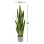 Plante de serpent artificielle Sansevieria en pot-130196673