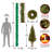 4 Piece Evergreen Assortment with Decorative Base and Clear LED Lights