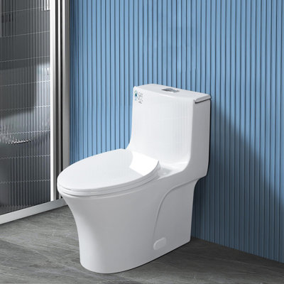 1.1/1.6 GPF Powerful Dual-Flush Elongated One-Piece Toilet with Glazed Surface Modern Toilet with Comfort Seat Height (Seat Included) -  Zevemomo, ZEVE240703M