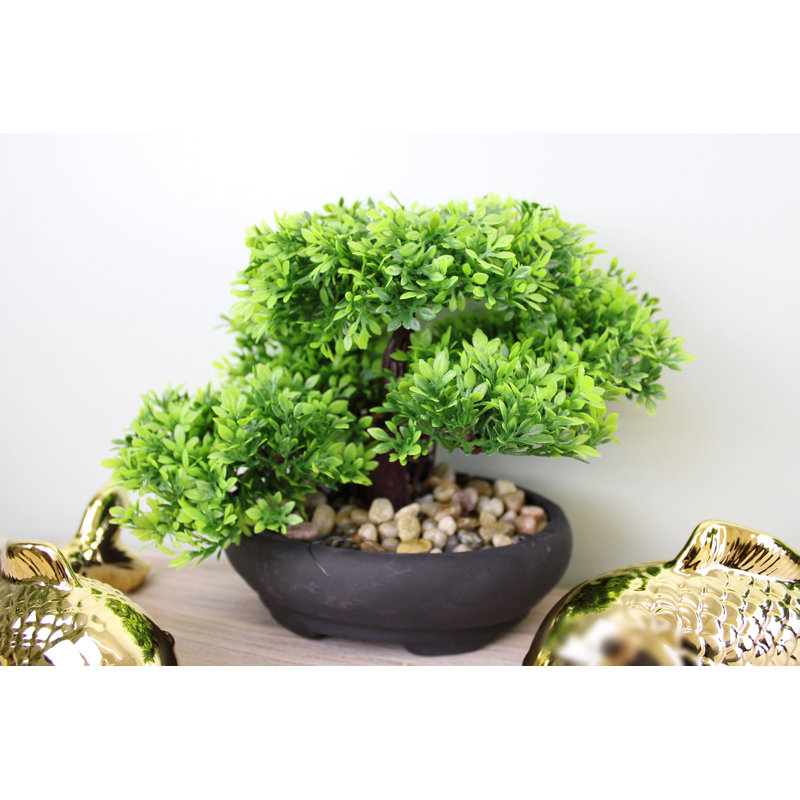 17cm Faux Bonsai Plant in Ceramic Planter