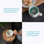 Payden Ceramic Teacup
