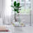 Dave Glass Top Nesting Tables