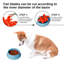 Pet Slow Feeder Bowl Anti-Skid Slow Feeder-114547628