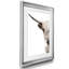 «Highland C best» par Danita Delimont - reproduction de cadre photo-2143710167-2143710162