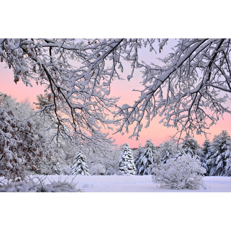 Colorful Colorful with Snowfall - Photographie sur toile tendue, H 32 po x l 48 po