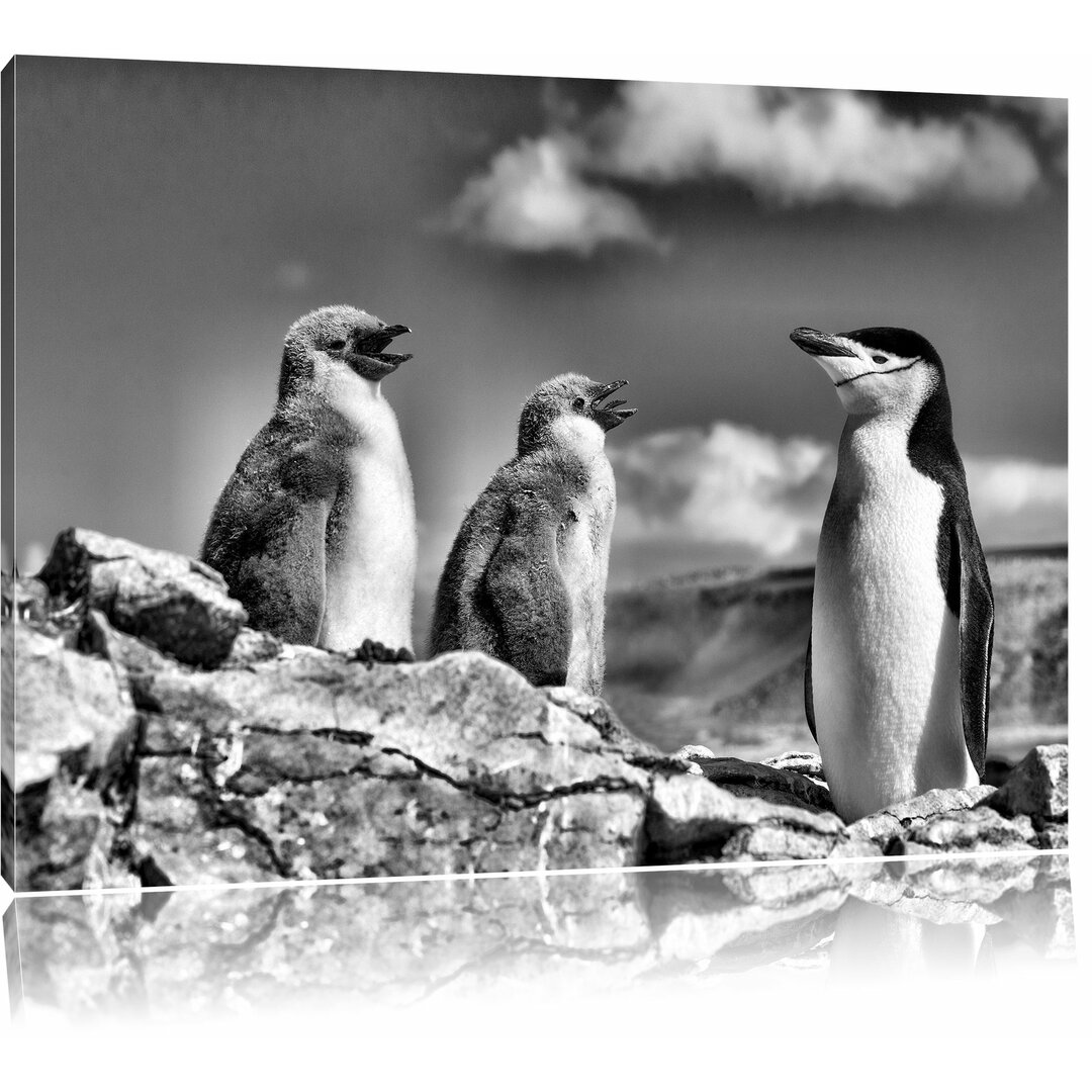 Leinwandbild Pinguin mit süßen Küken in Monochrom