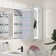 30" H Recessed or Surface LED Mirror Cabinet With Defogger And Adjustable Shelves